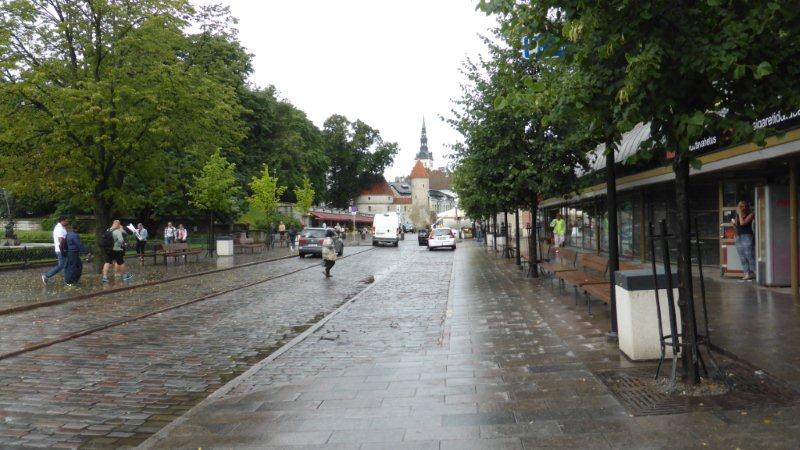 P1000593 - Kopie.JPG